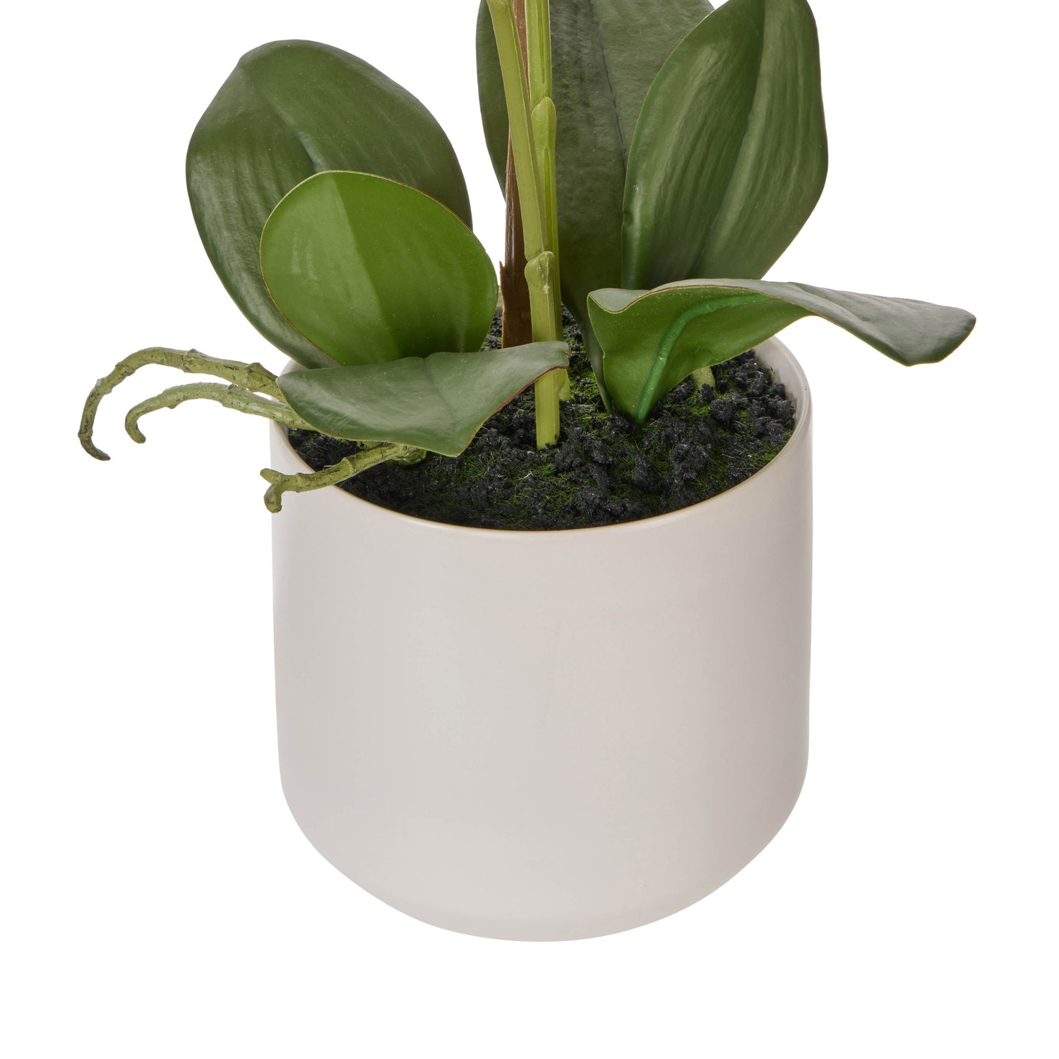 Faux Phalaenopsis Orchid Pot | Multi-Coloured -  56cm
