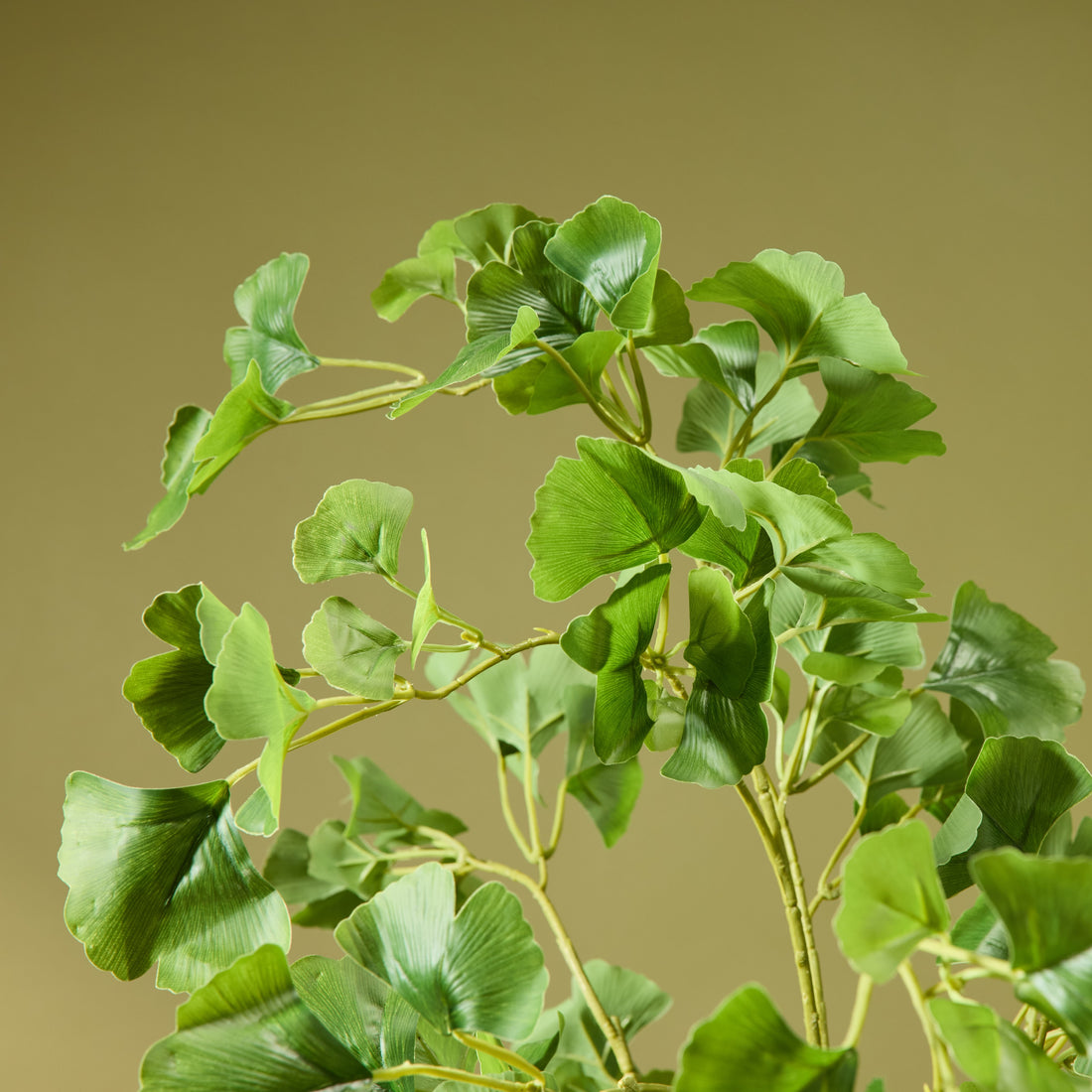 Faux Ginkgo Tree - Garden Pot | 173cm