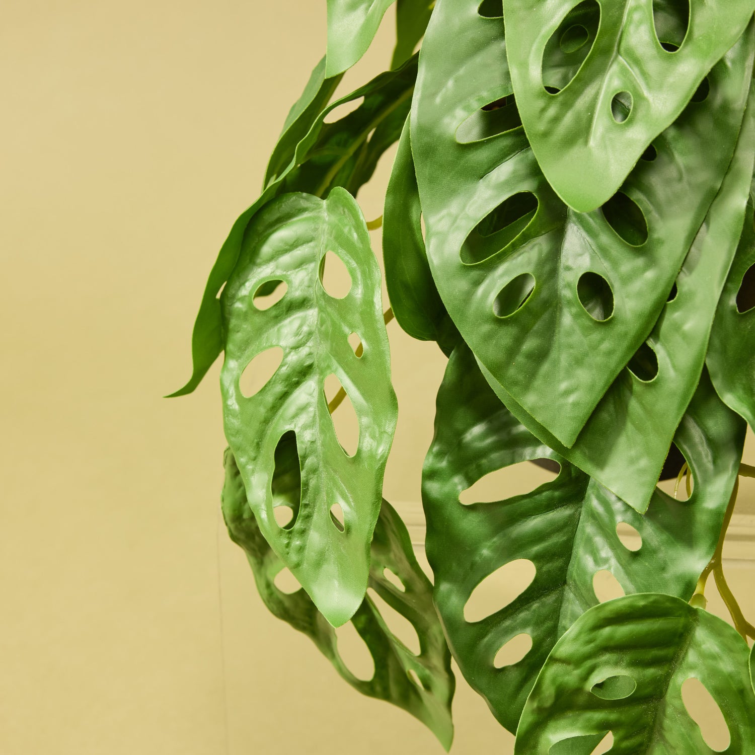 faux monstera Artificial Monstera Adansonii - Garden Pot | 26cm