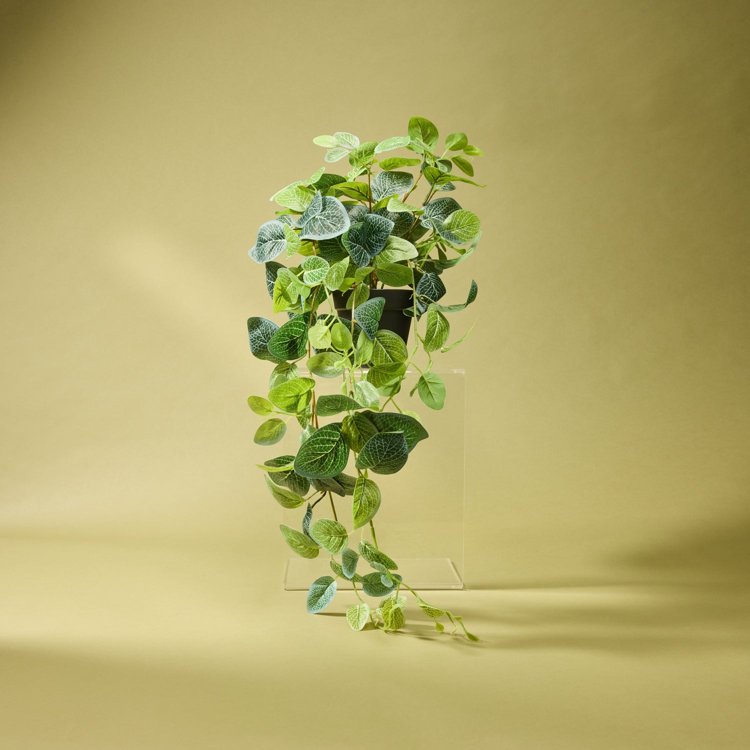 faux hanging plants in pot Artificial Hanging Fittonia - Garden Pot | 82cm