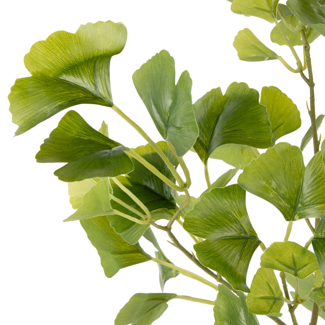 Faux Gingko Mix - Neven Vase | Green - 50cm