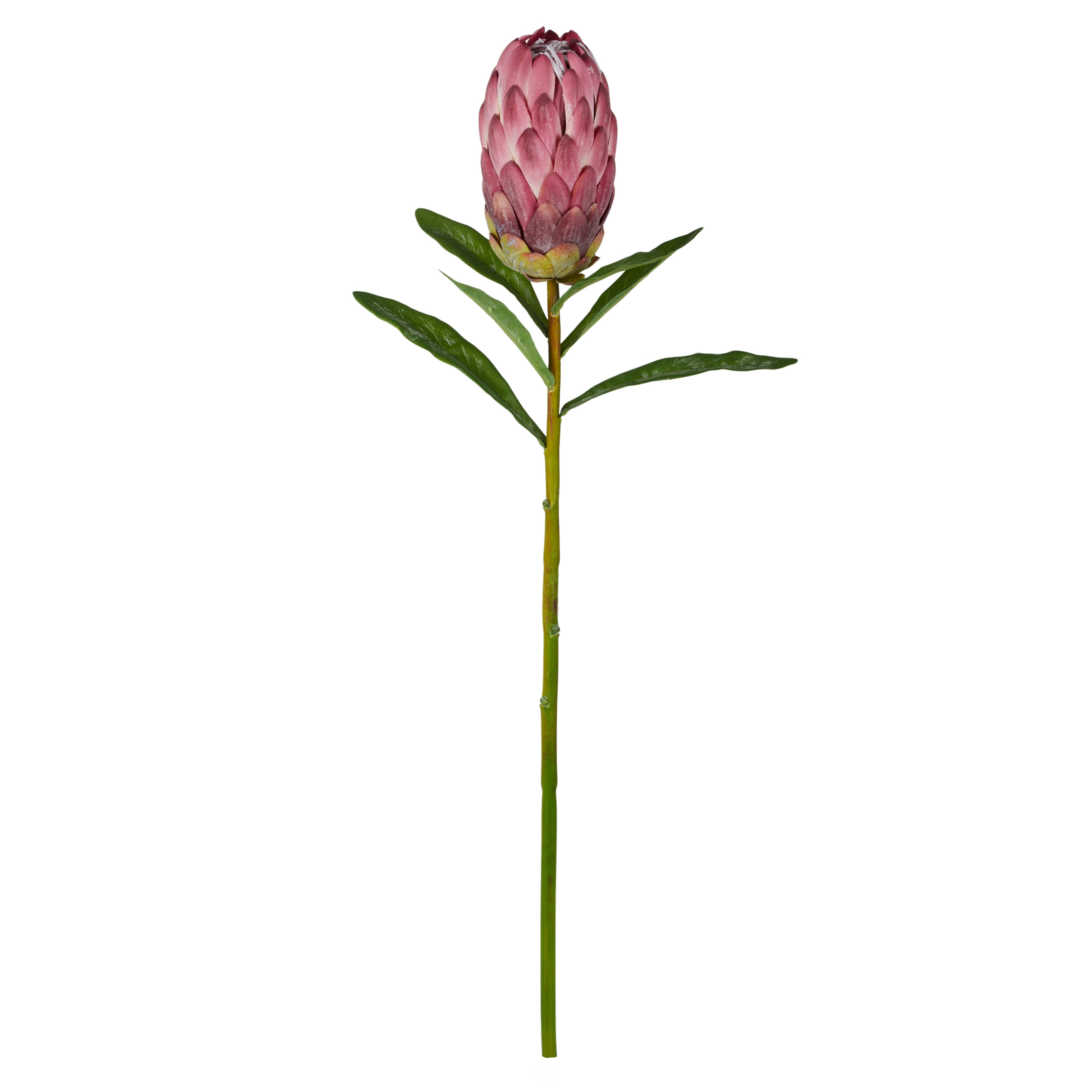 Faux Protea Stem | Burgundy - 60cm
