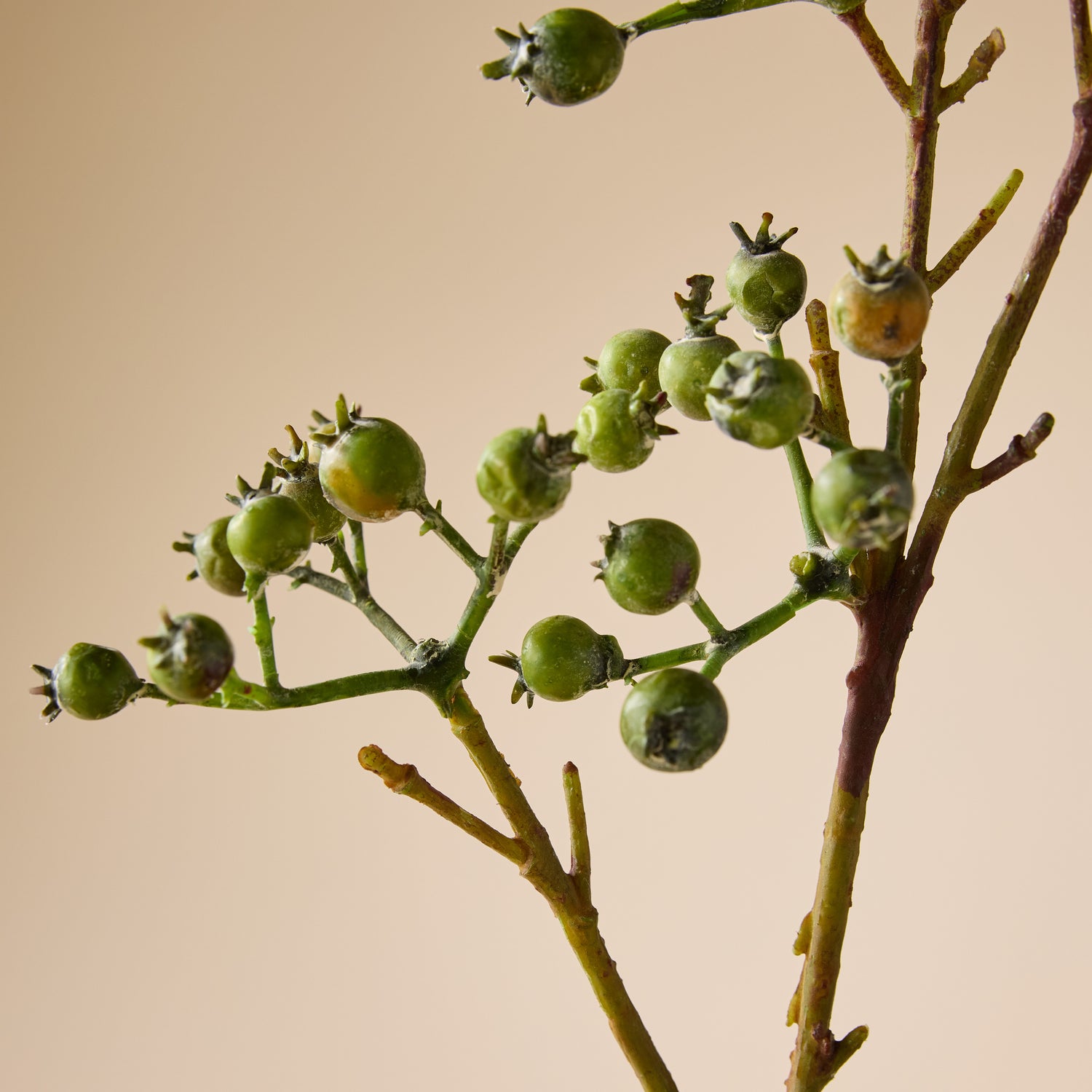 Faux Green Berries Spray | Green - 64cm