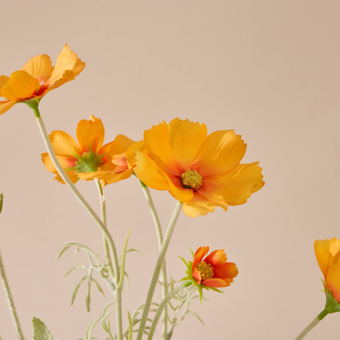 Faux Poppy Cosmos Mix - Giselle Vase | Cream &amp; Orange - 37cm