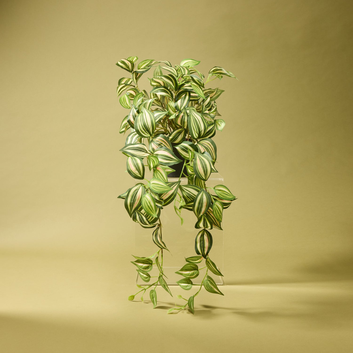 hanging dude plant Artificial Hanging Wandering Dude - Garden Pot