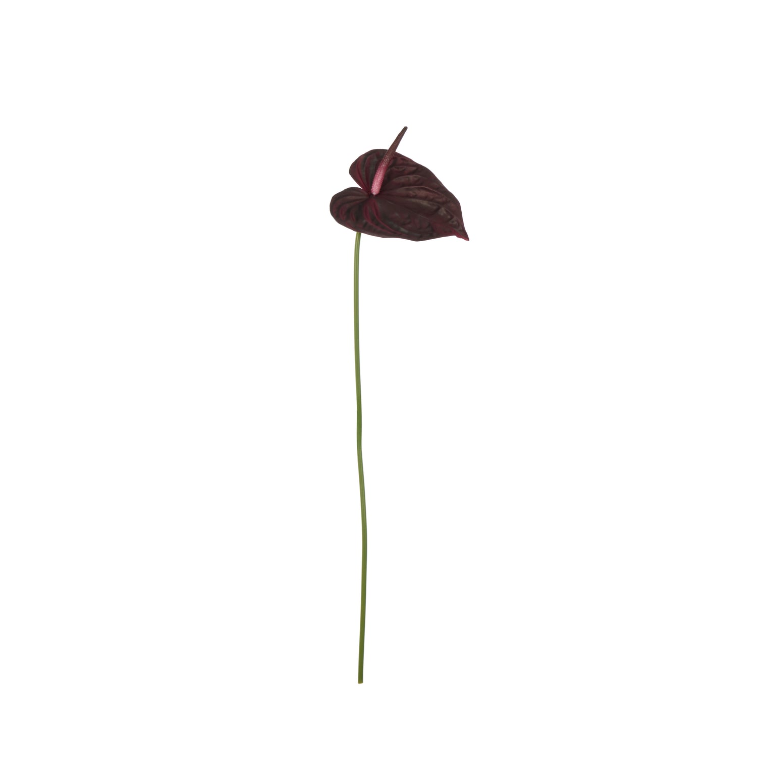 Faux Anthurium Stem | Burgundy - 69cm