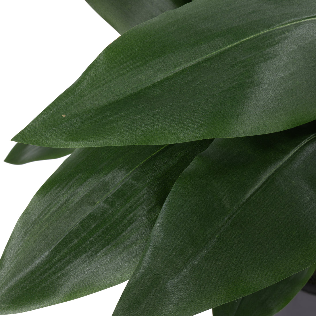 Faux Cast Iron Plant UV Treated  | 90cm