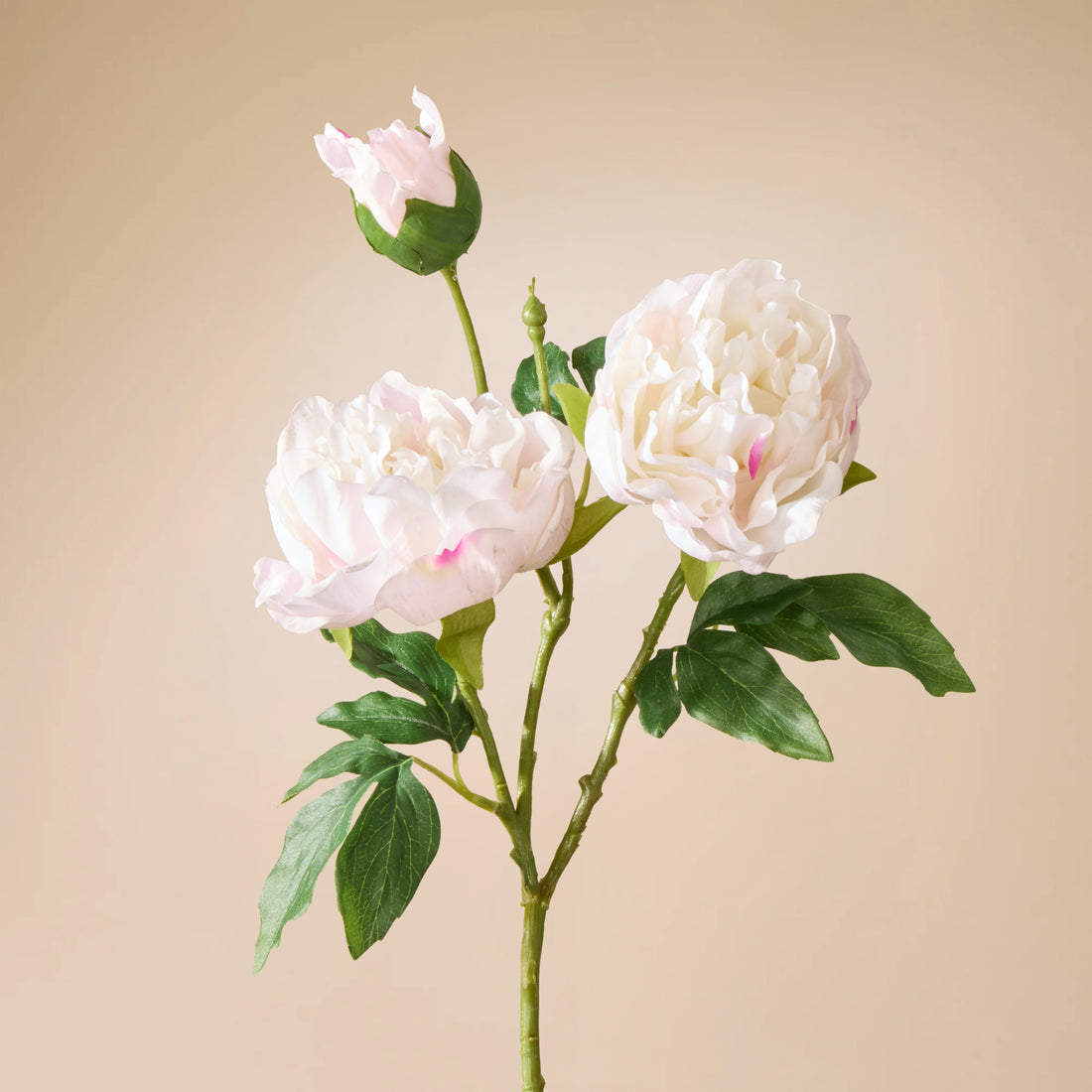 Faux Peony Spray Real Touch | White &amp; Light Pink - 72cm