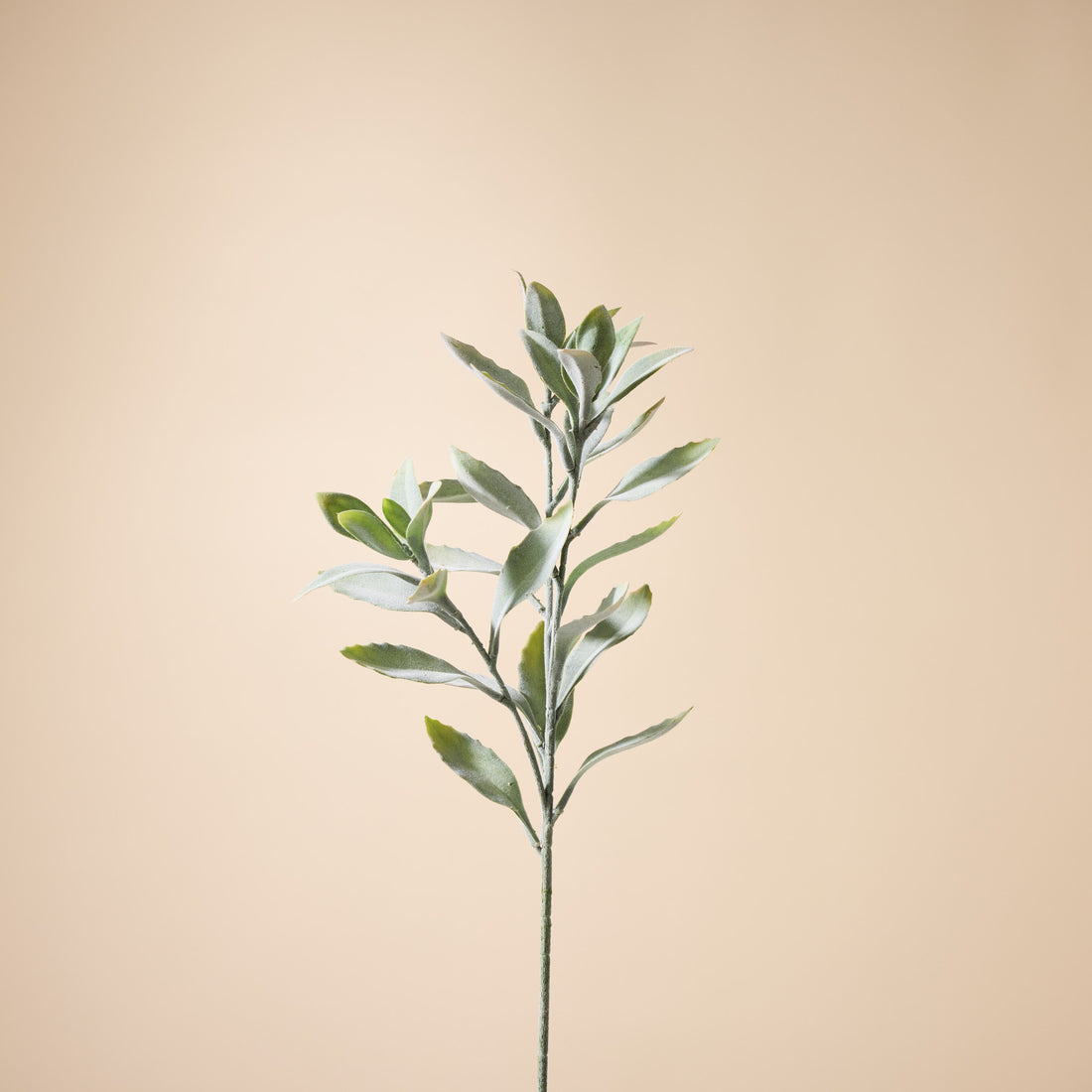 Faux Leucadendron Leaf Stem | Green - 66cm