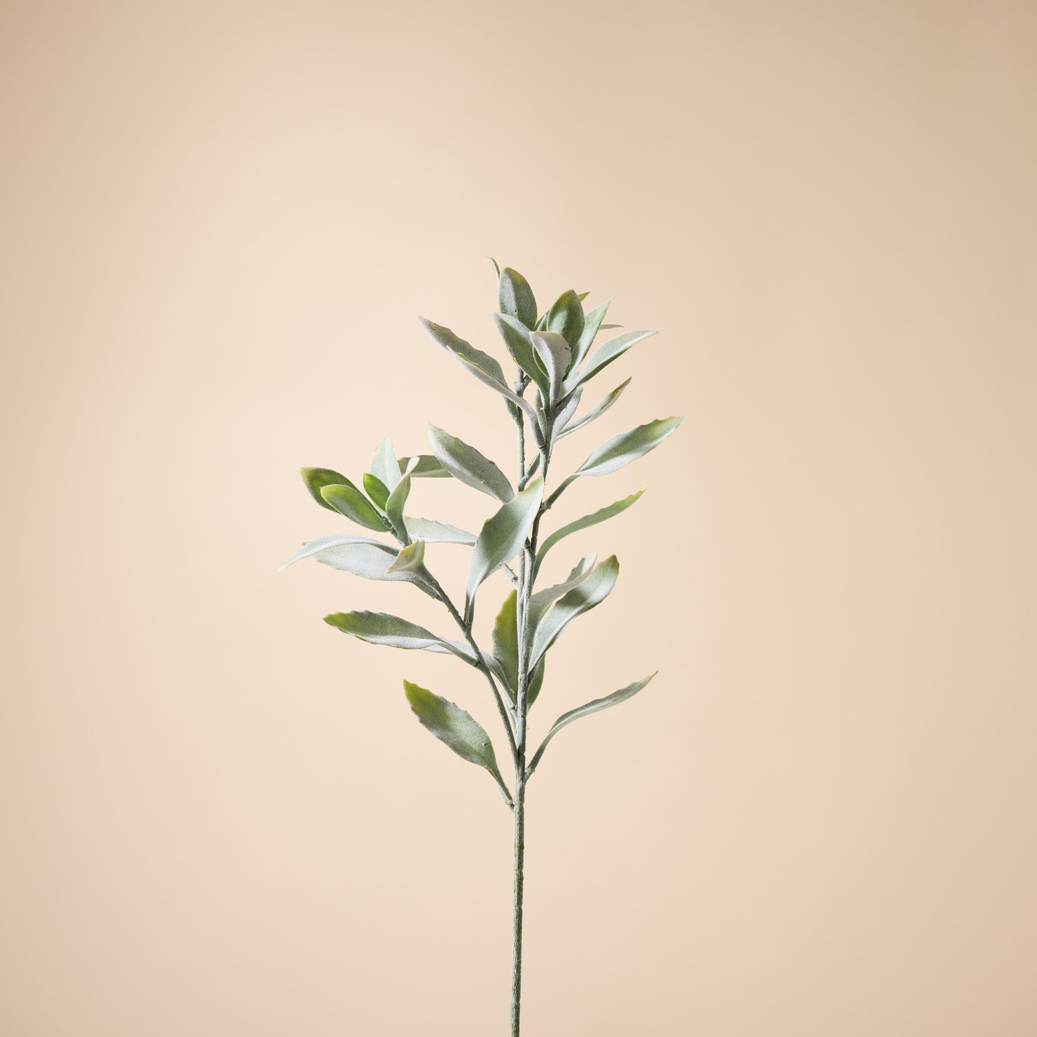 Faux Leucadendron Leaf Stem | Green - 66cm