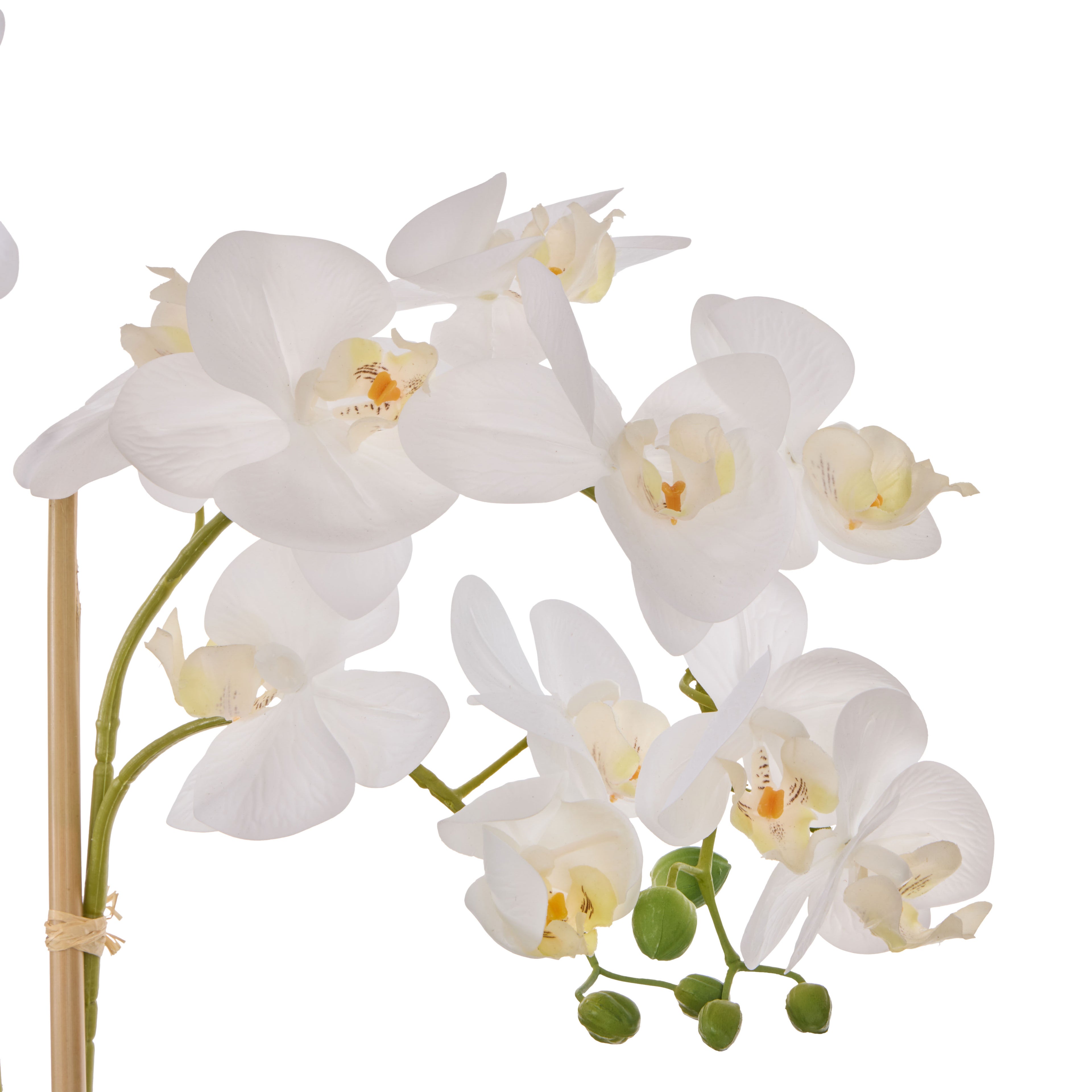 Faux Phalaenopsis Orchid Pot | White -  71cm