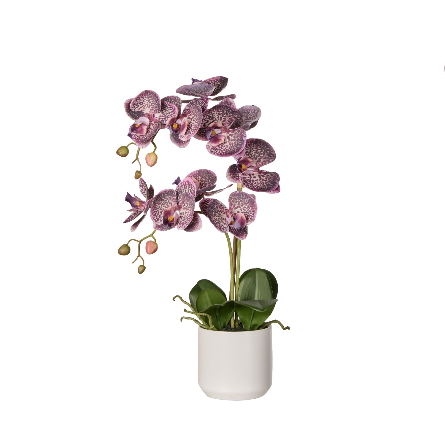 Faux Phalaenopsis Orchid Pot | Purple -  56cm