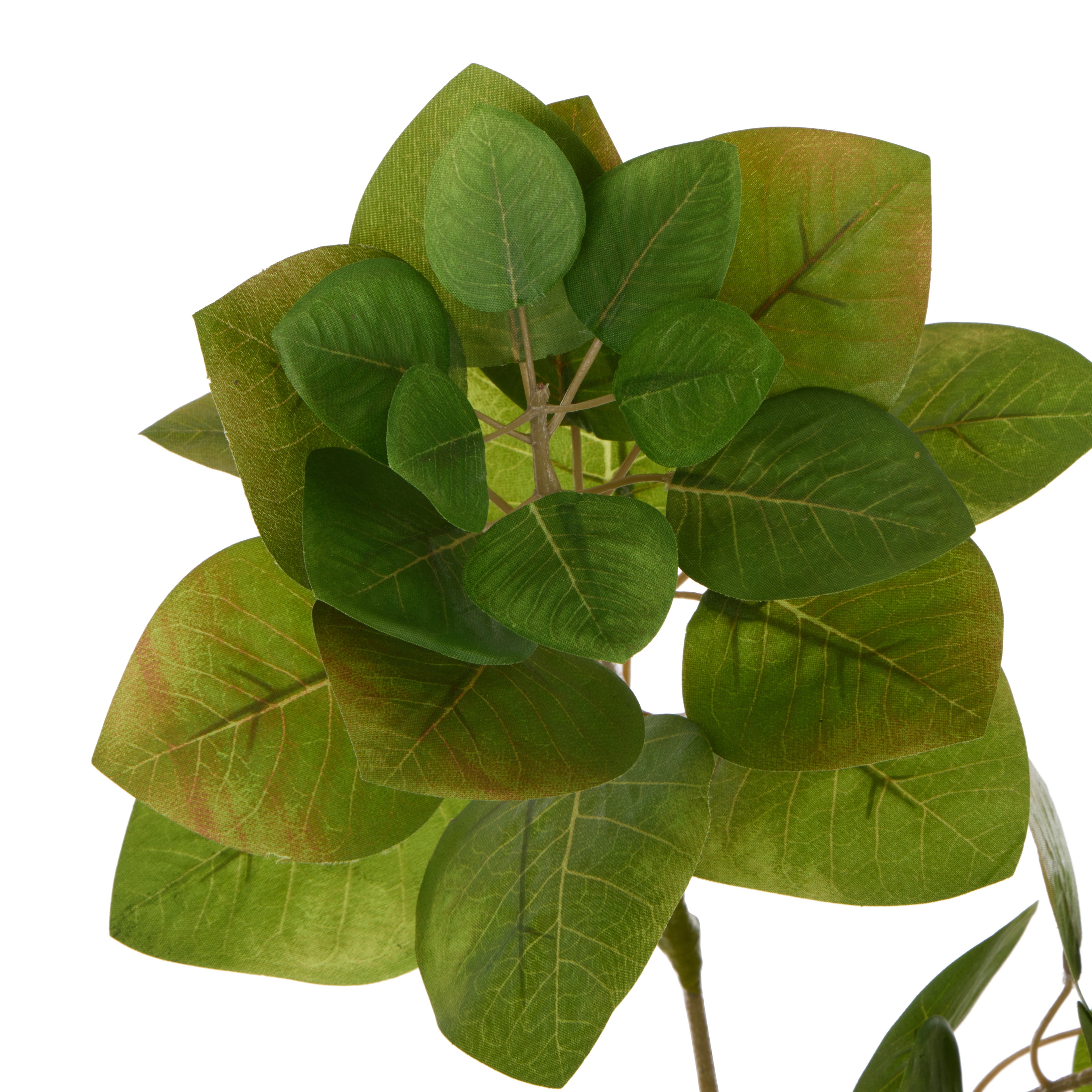 Faux Smoke Bush Spray | Green - 90cm