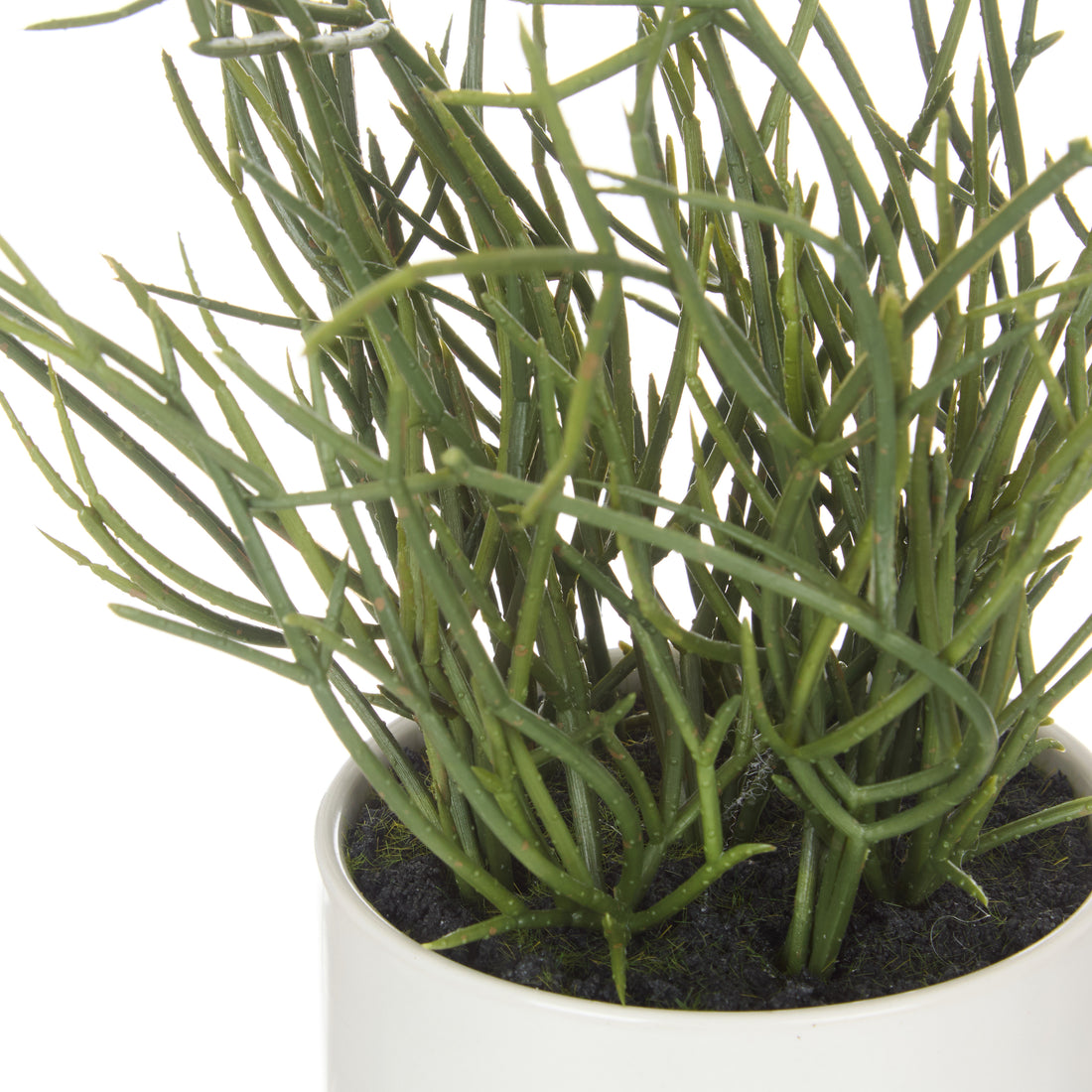 Faux Mistletoe Cactus - White Pot | 32cm