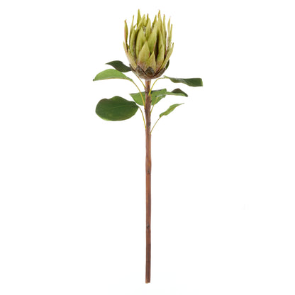 Faux King Protea Stem | Green - 60cm