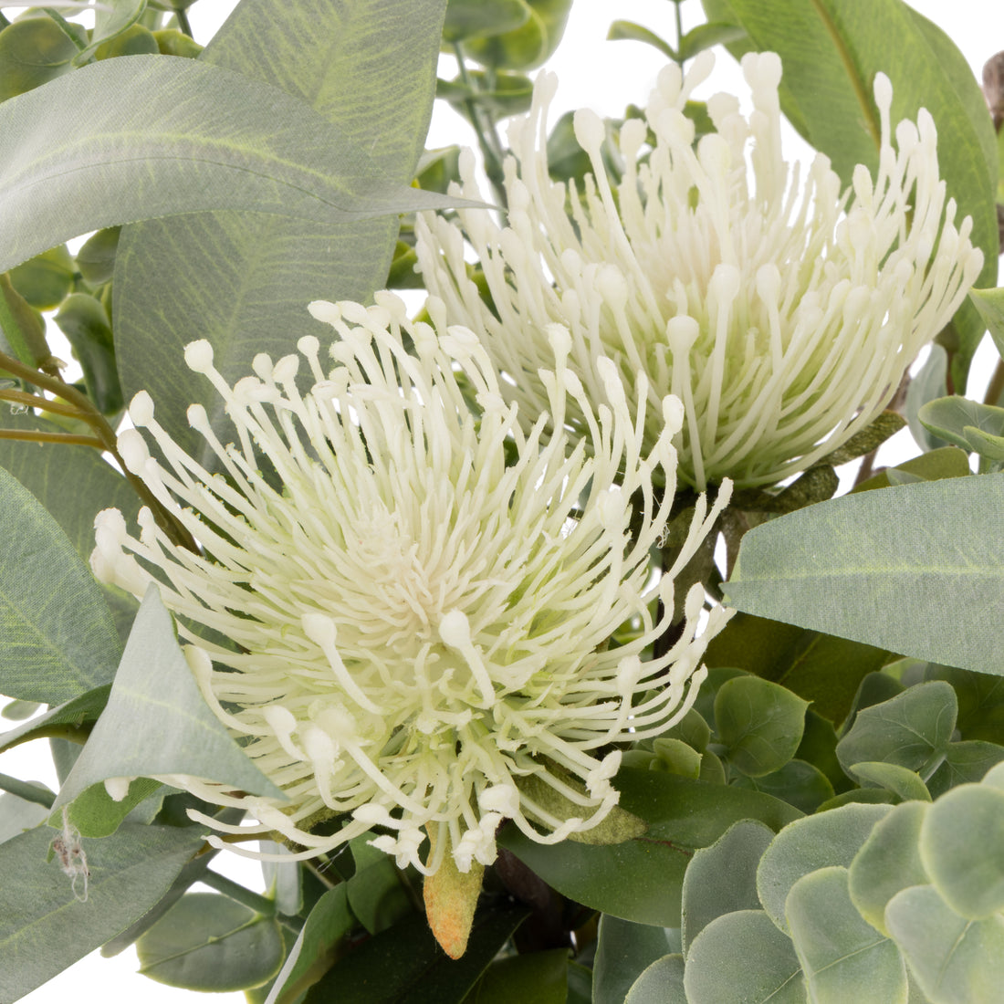 Rogue Pin Cushion Mix - Phoebe Vase Soft Green/Glass