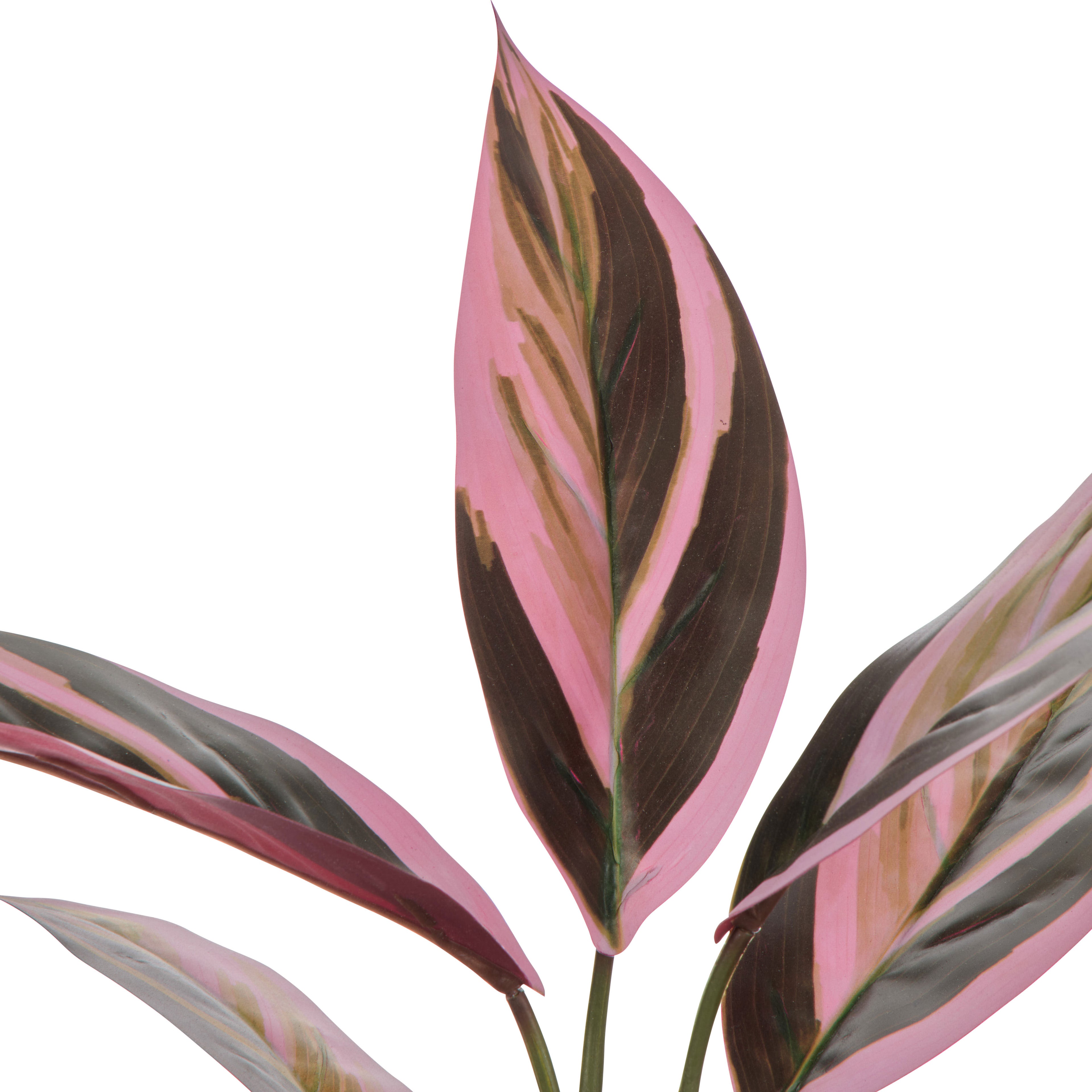 Faux Cordyline Plant | Burgundy  -  36cm