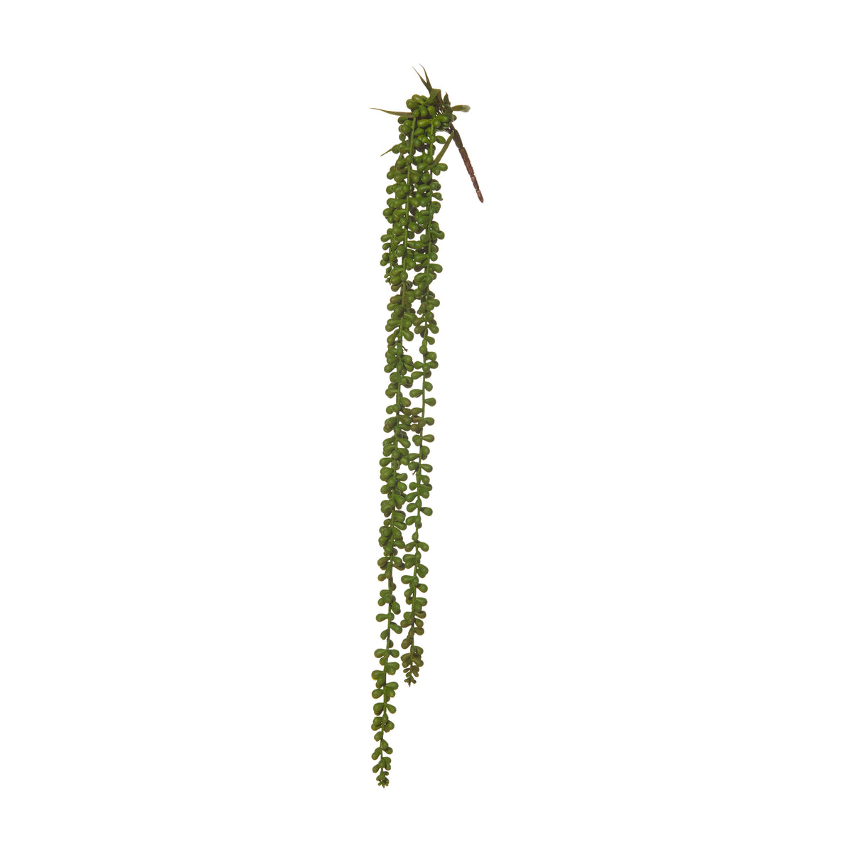 Rogue Hanging Pearls Green