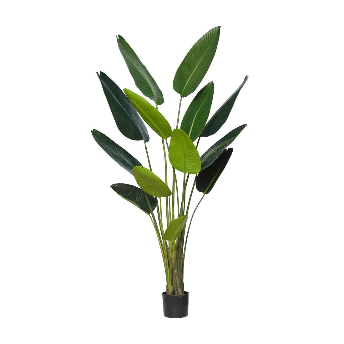 Rogue Giant Bird of Paradise Plant Real Touch Green
