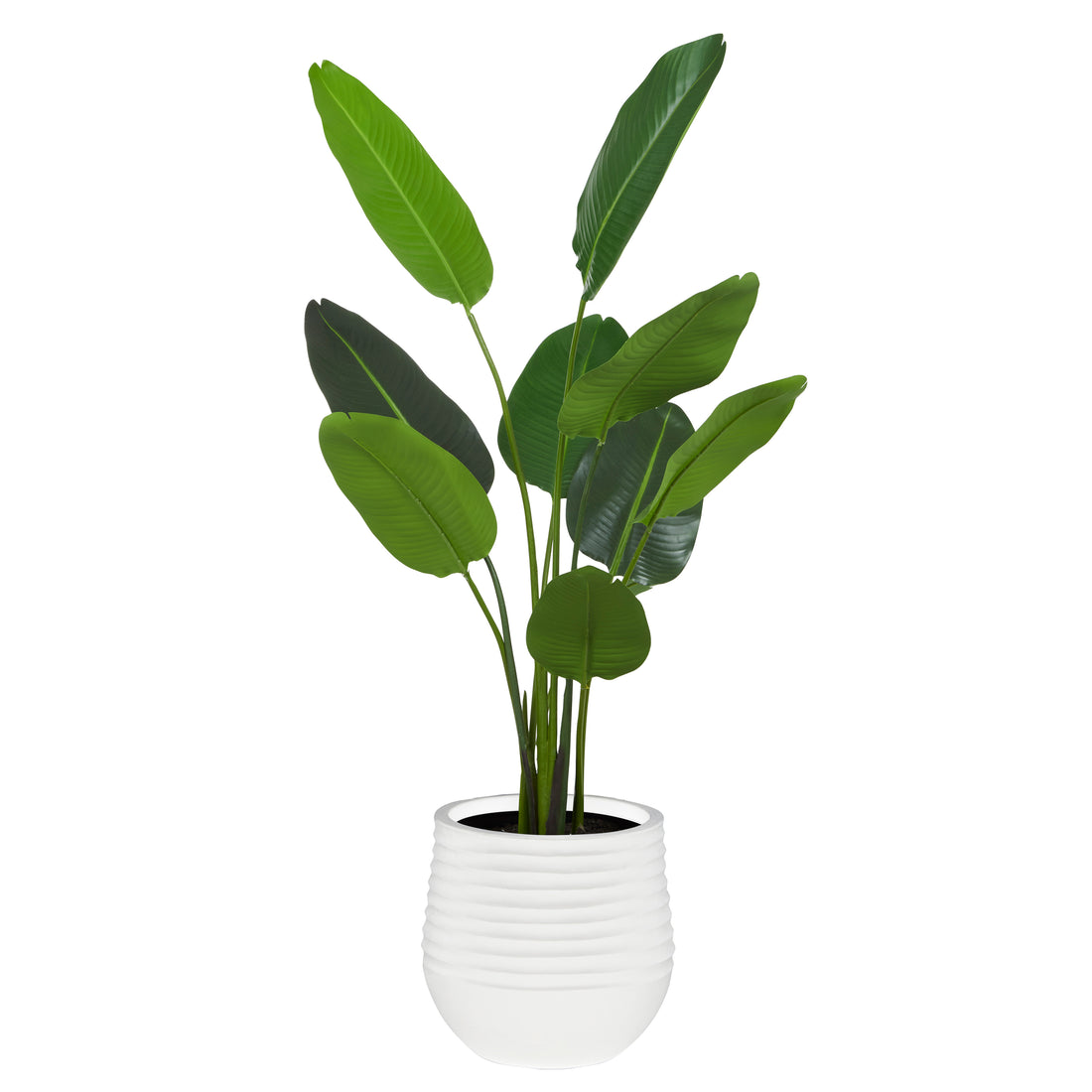 Rogue Bird Of Paradise - Ryker Planter Medium Green &amp; White