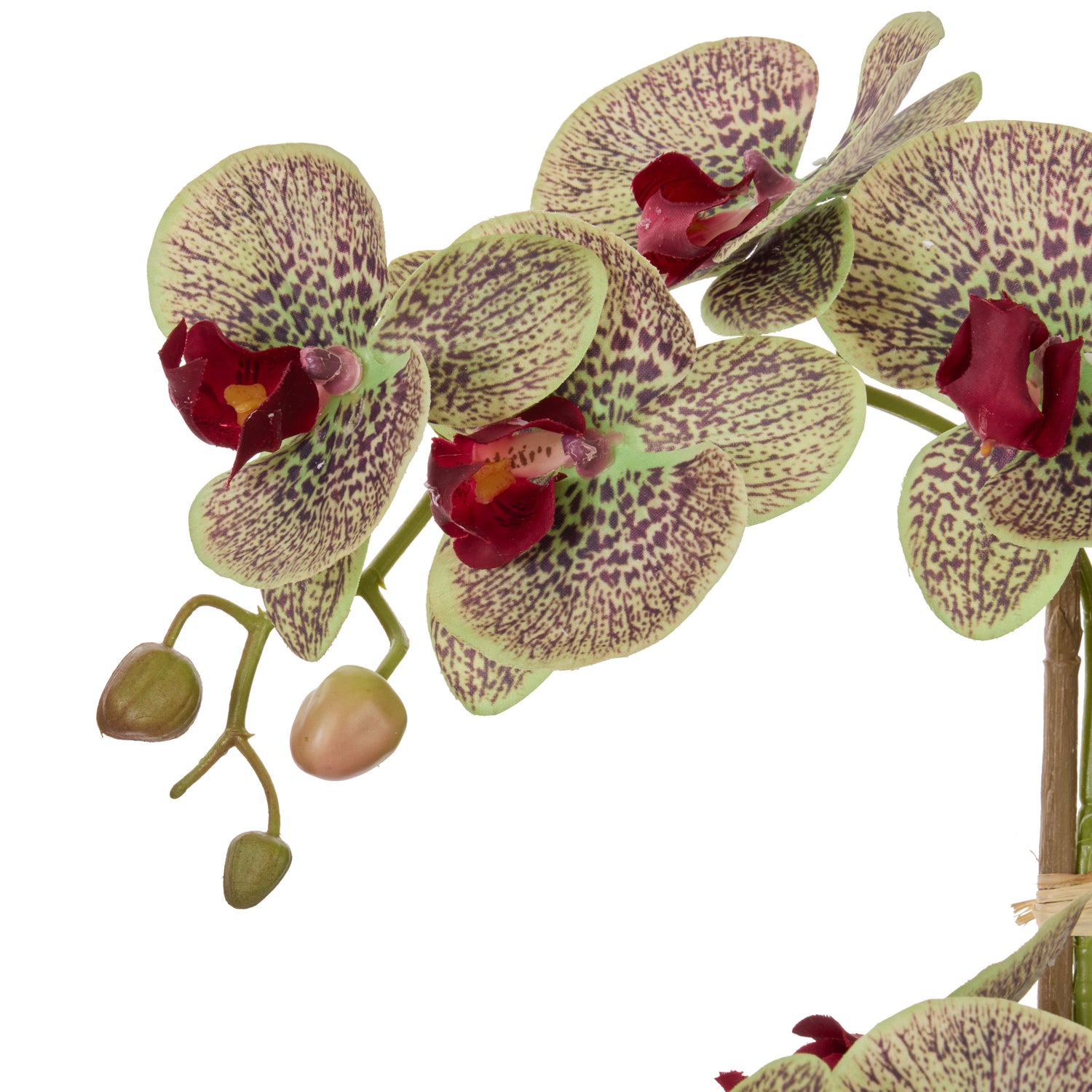 Faux Phalaenopsis Orchid Pot | Multi-Coloured -  56cm
