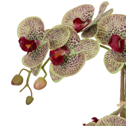 Faux Phalaenopsis Orchid Pot | Multi-Coloured -  56cm