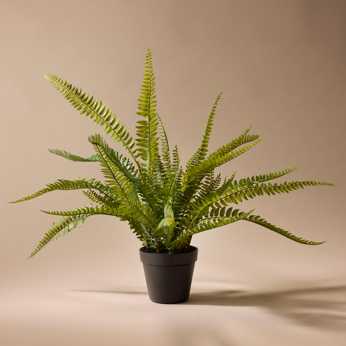 Faux Boston Fern - Garden Pot | 58cm