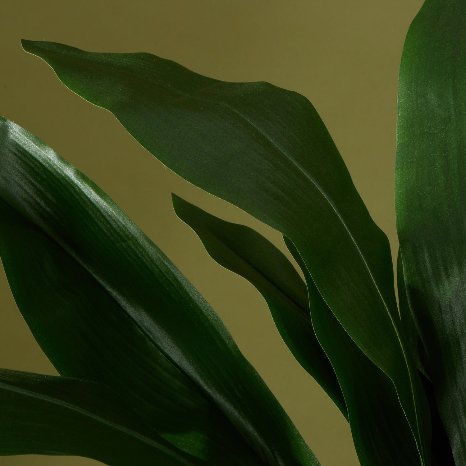 Faux Cast Iron Plant UV Treated | 120cm