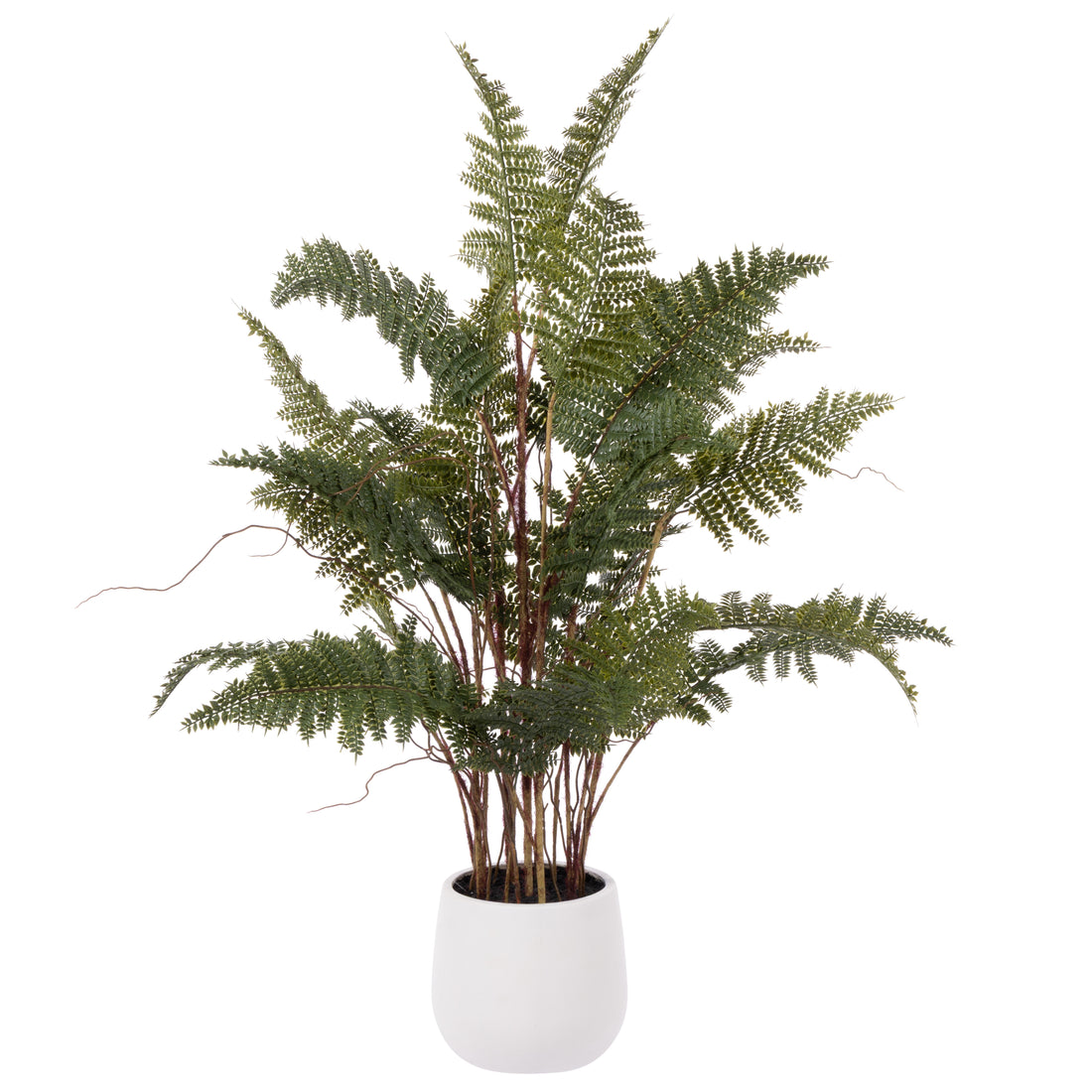 Rogue Mountain Wood Fern Pot Green
