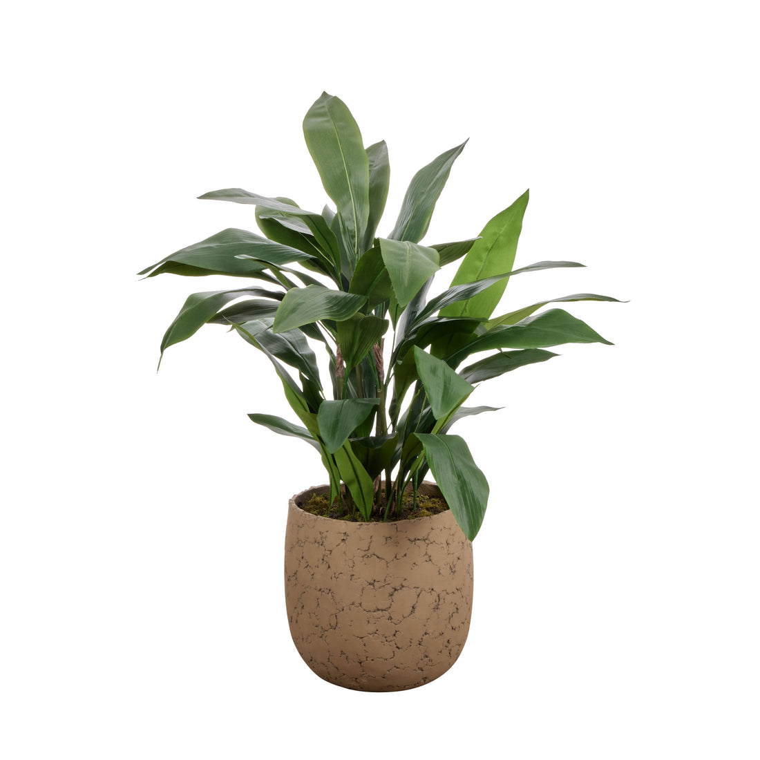 Faux Cast Iron Plant UV Treated  - Oliver Pot | Green - 116cm