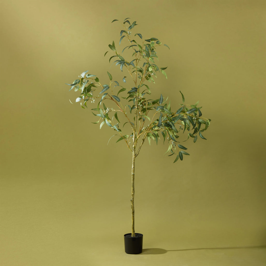 Faux Eucalyptus Gumnut Tree - Garden Pot |  200cm
