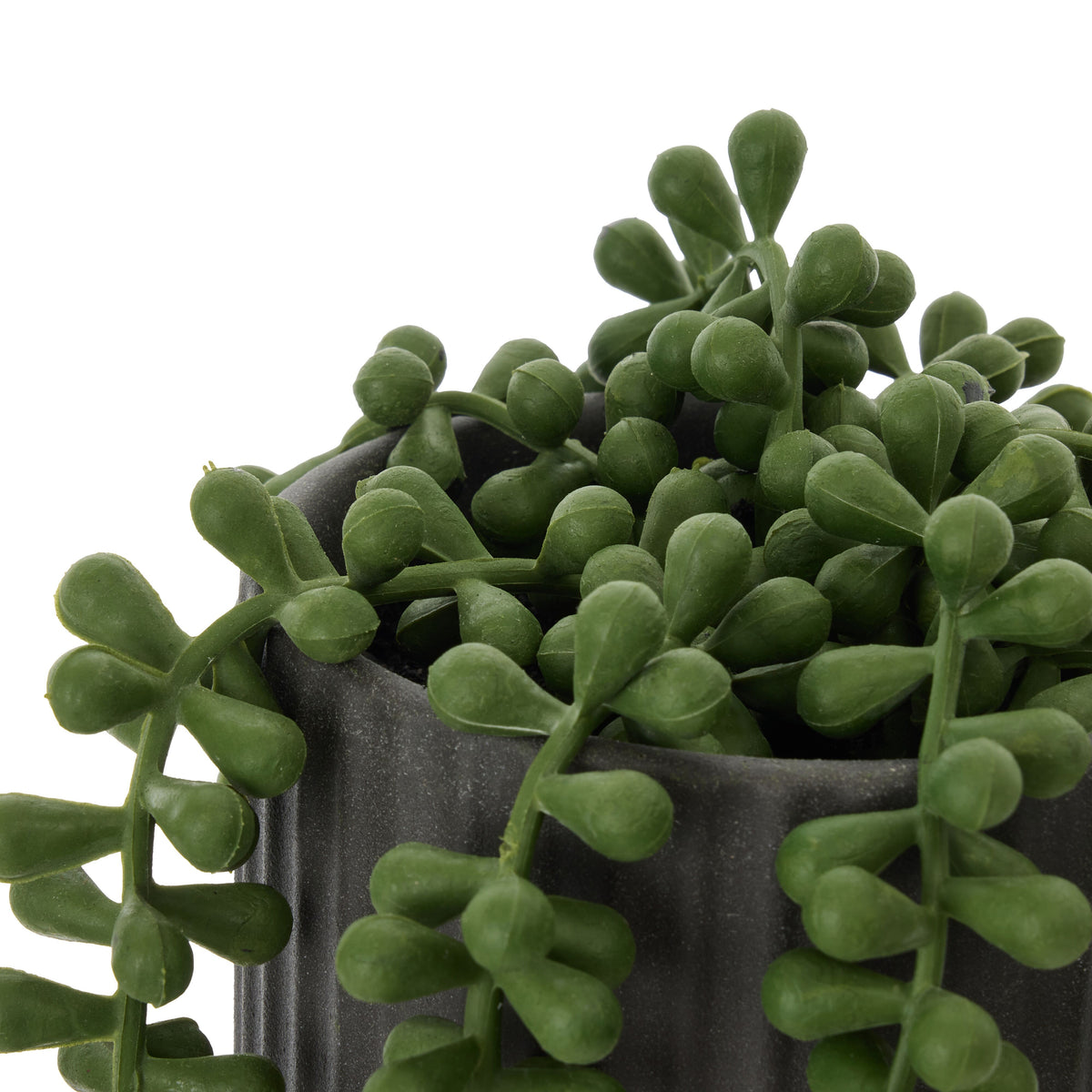 Rogue String of Pearls Pot Green &amp;  Black