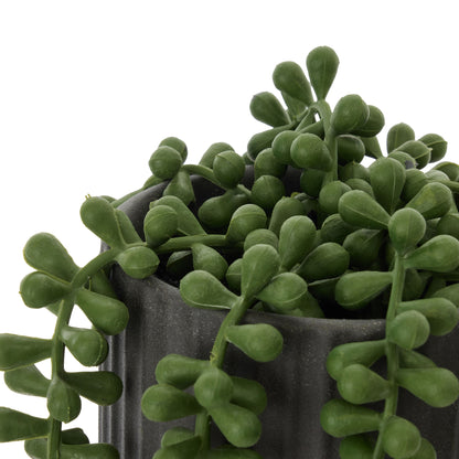 Rogue String of Pearls Pot Green &amp;  Black