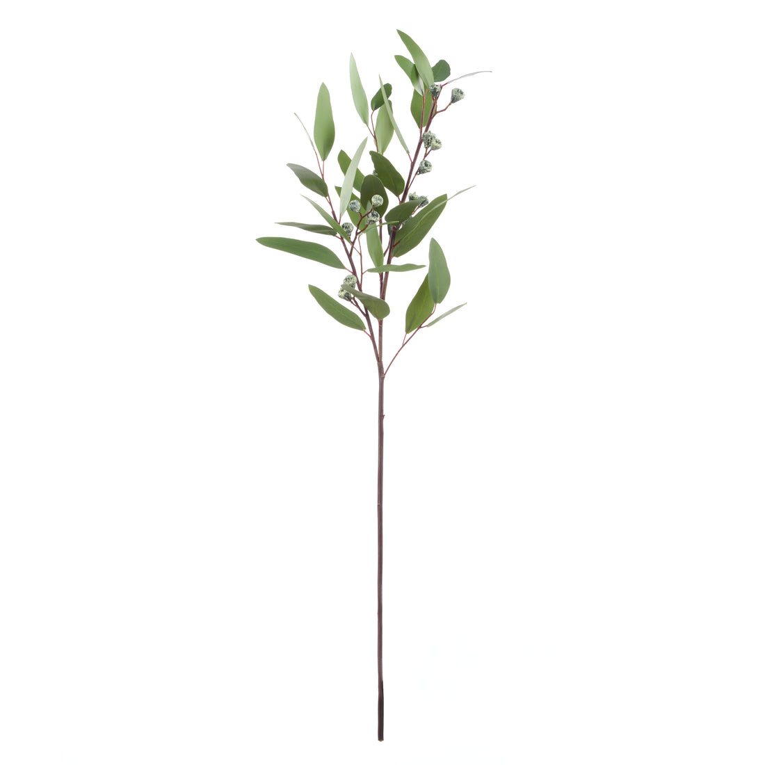 Rogue Eucalyptus Gumnut Spray Green