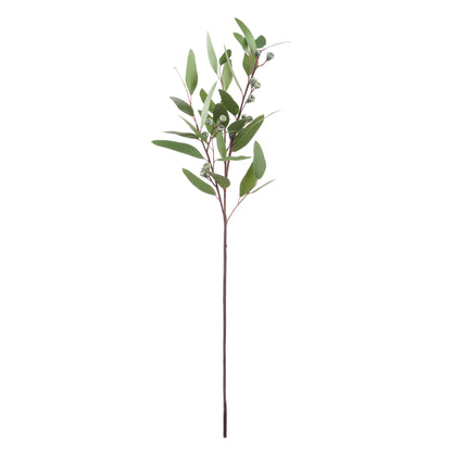Rogue Eucalyptus Gumnut Spray Green