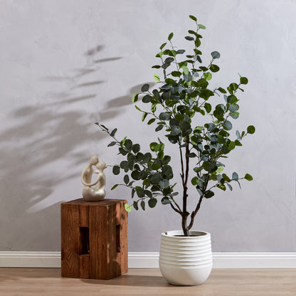 Rogue Eucalyptus Tree Green