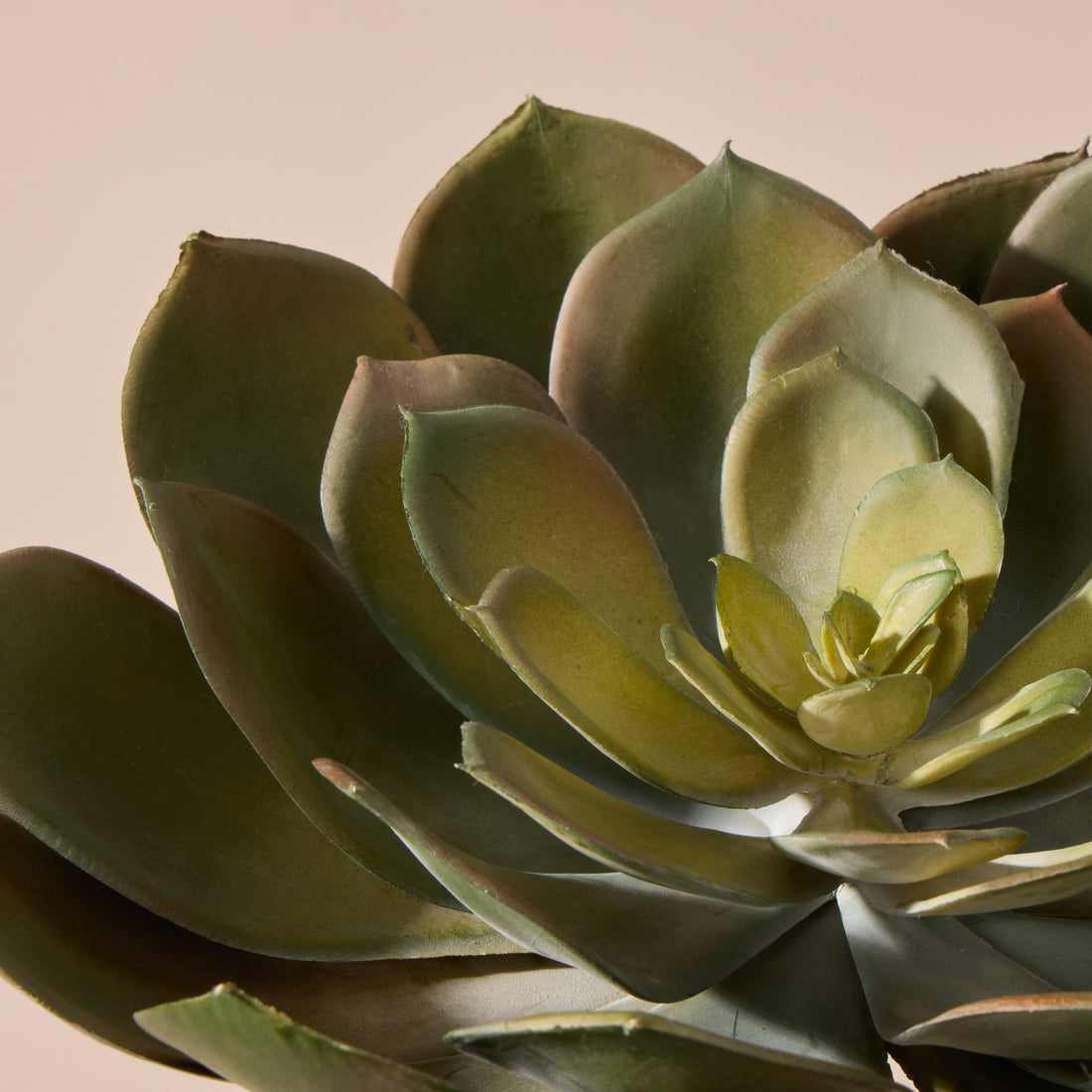 Faux Echeveria Succulent | Green - 18cm