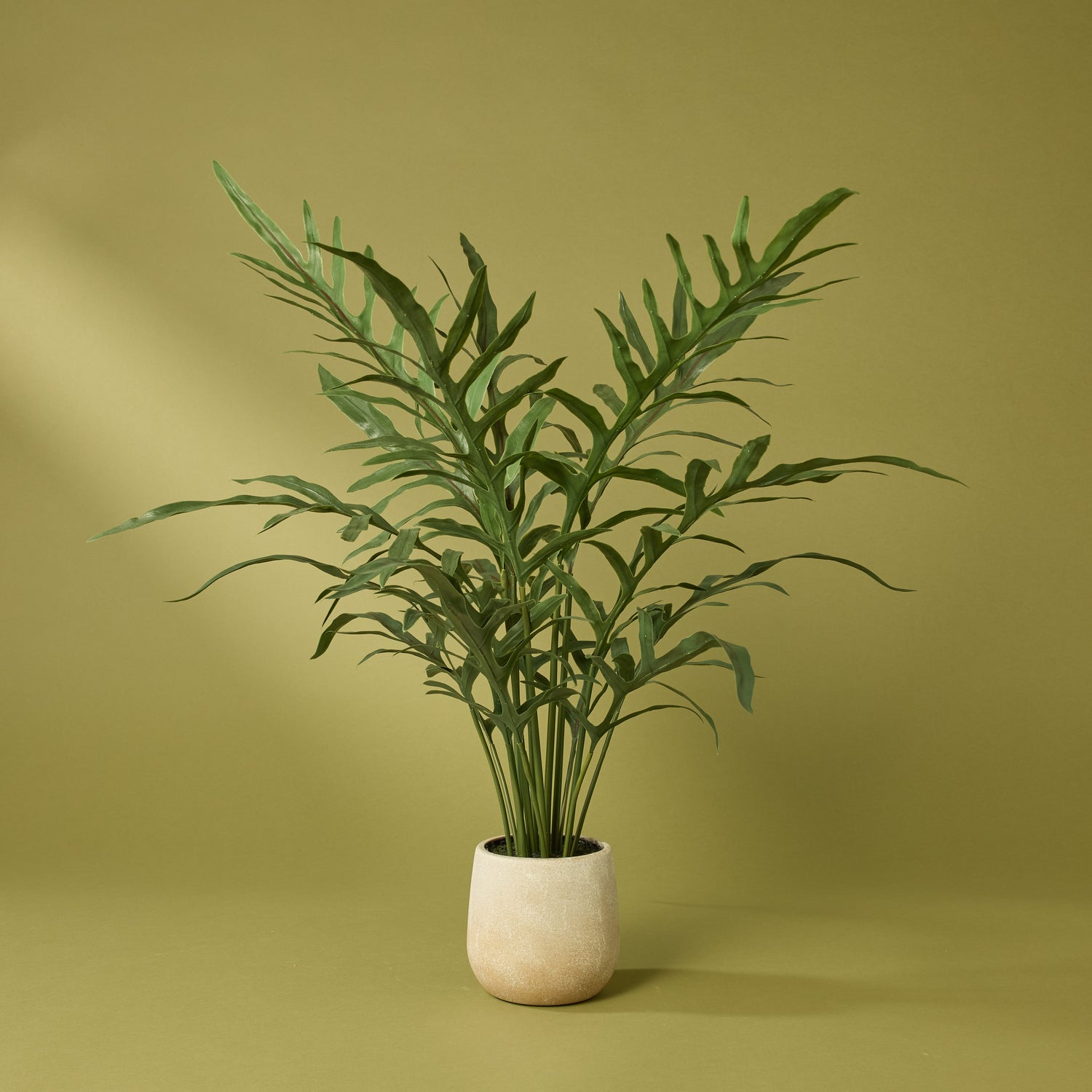 Faux Blue Star Fern Pot | Green - 81cm