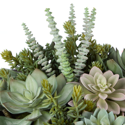 Rogue Succulent Garden - Textured Cement Pot Green/Cream