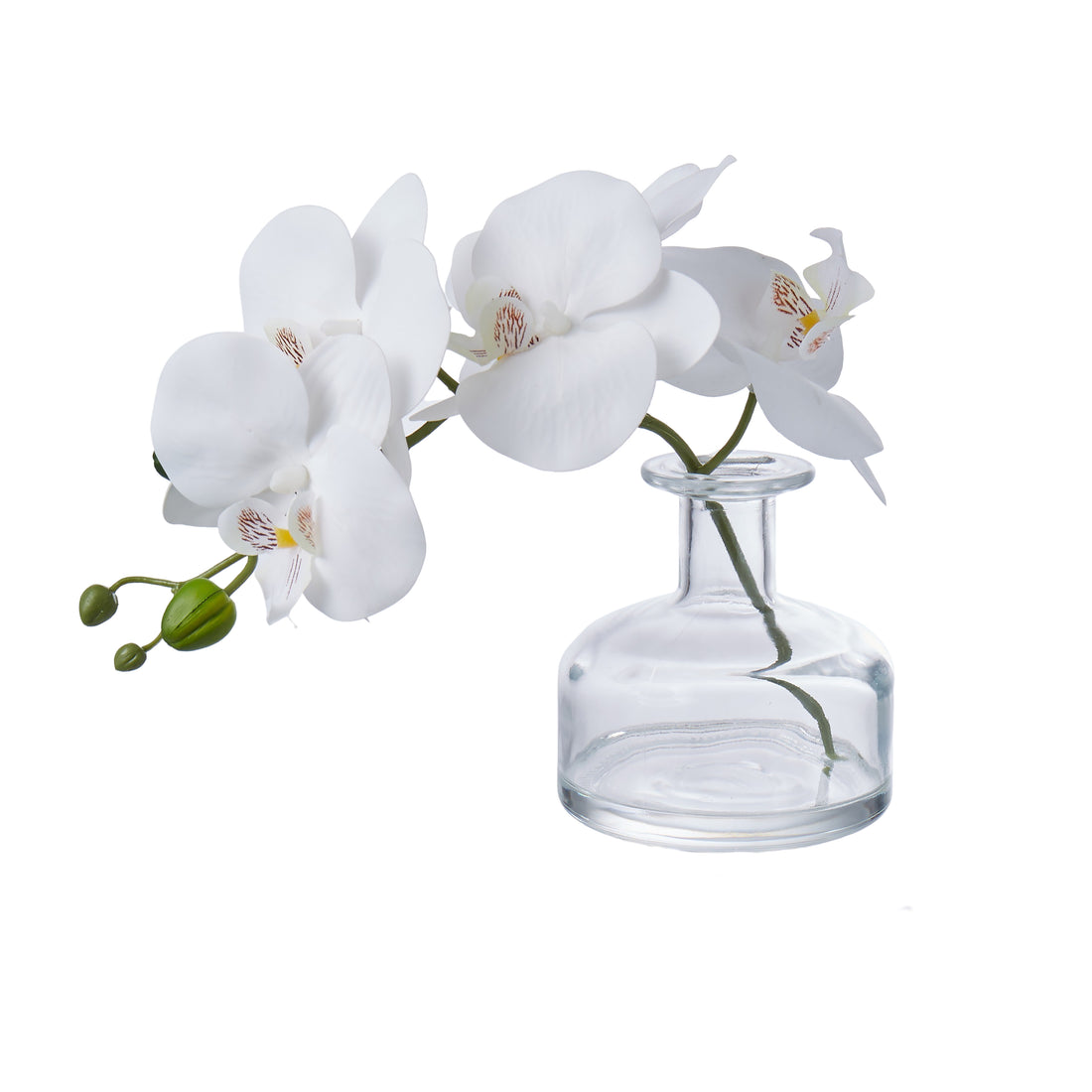 Faux Phalaenopsis in Glass Vase | White - 22cm