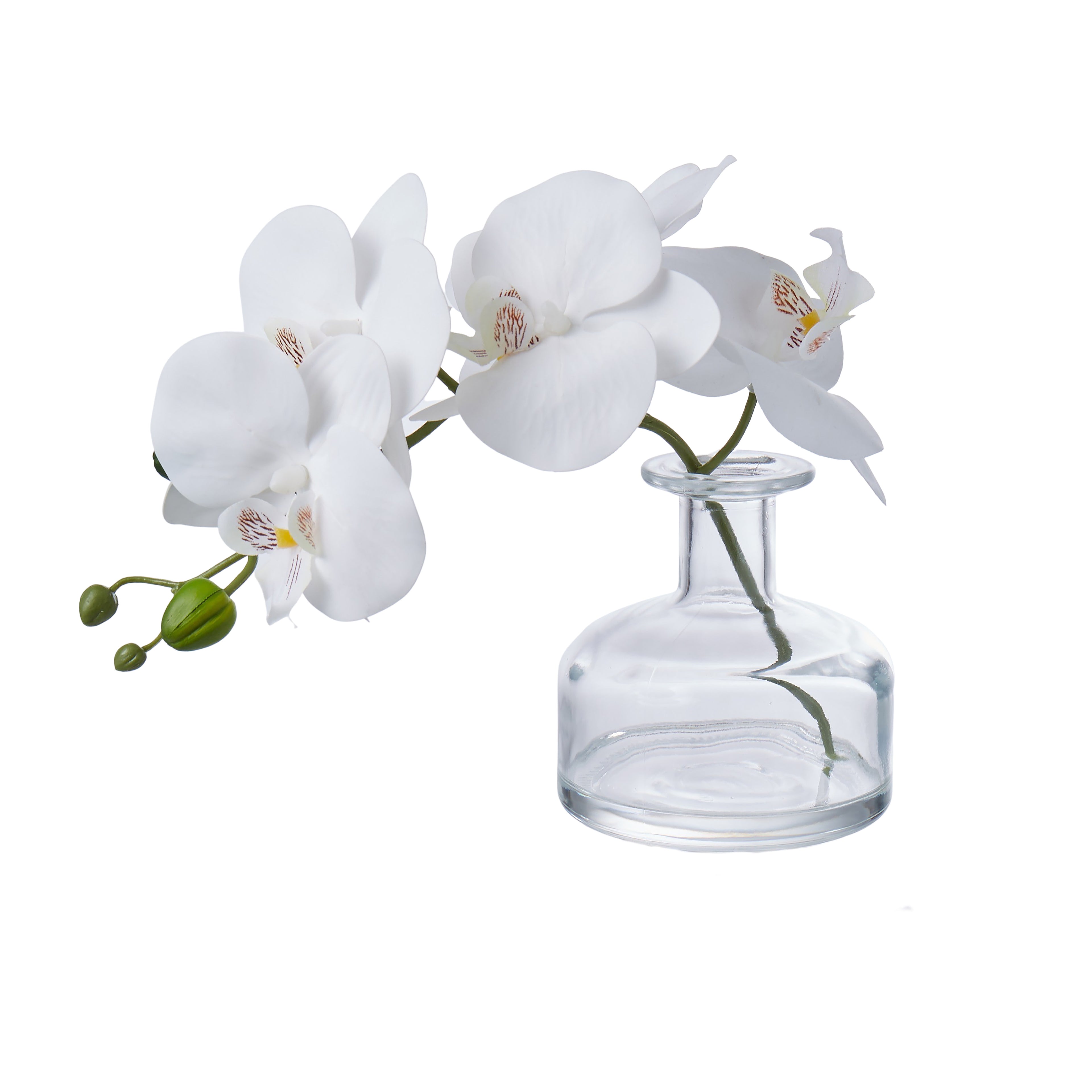 Faux Phalaenopsis in Glass Vase | White - 22cm