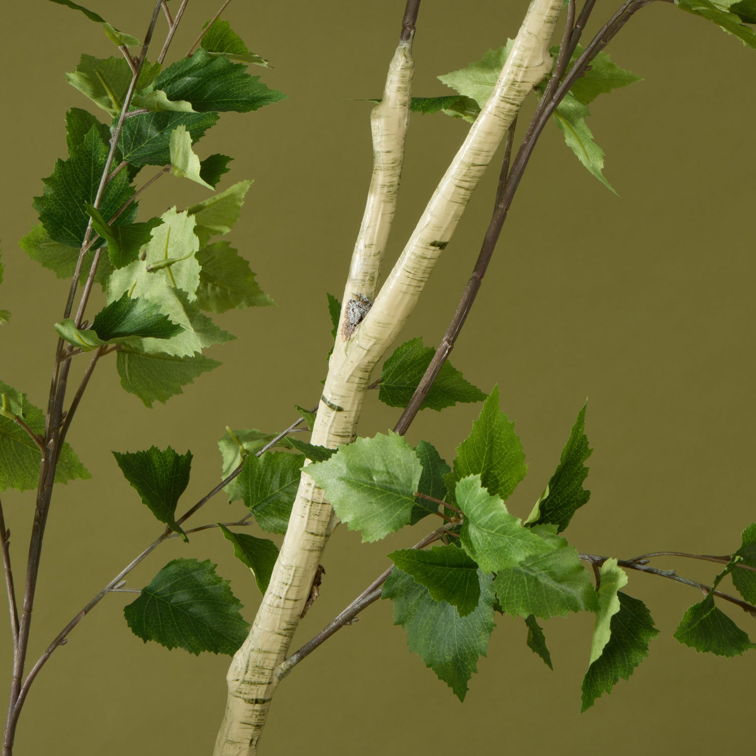 Faux Silver Birch Tree - Garden Pot  | 208cm