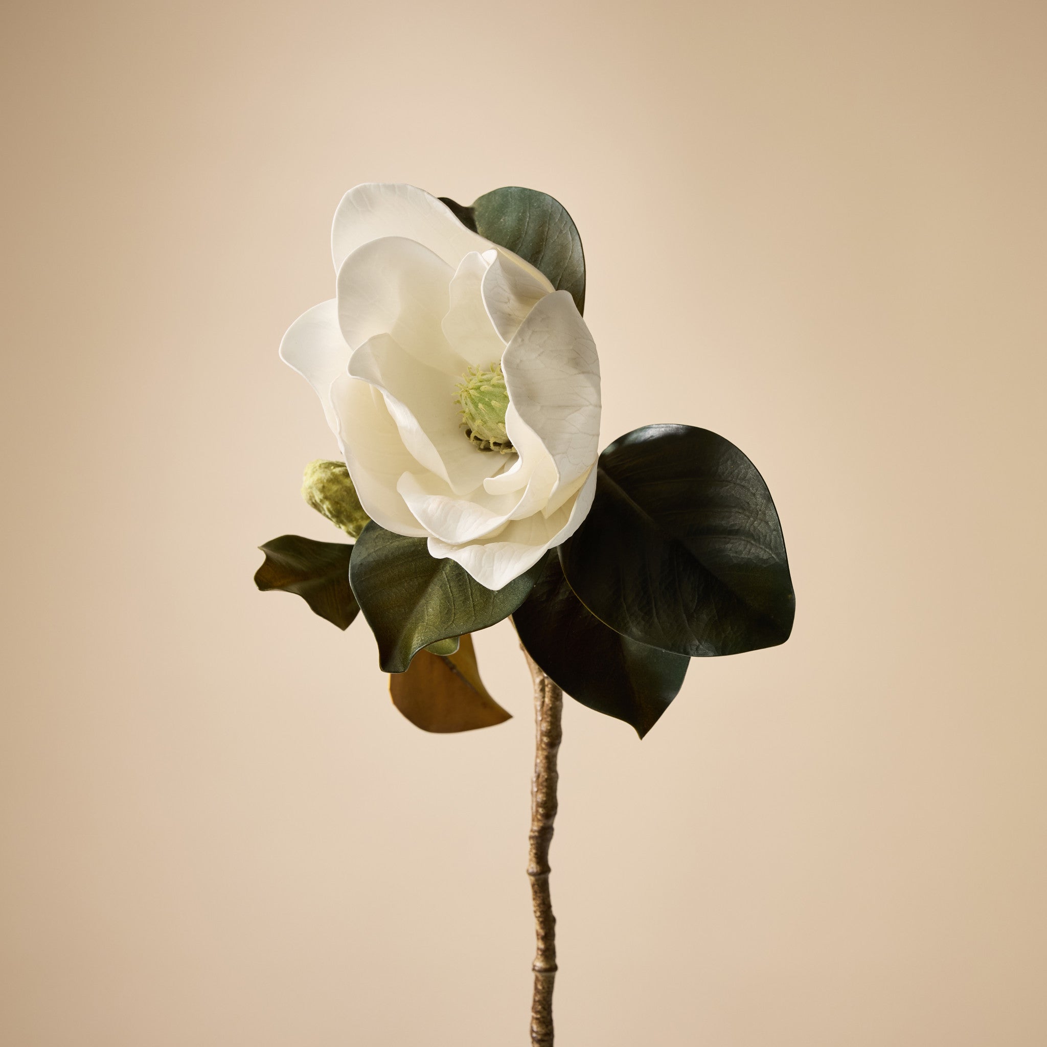 Faux Magnolia Grandiflora Stem | White - 66cm