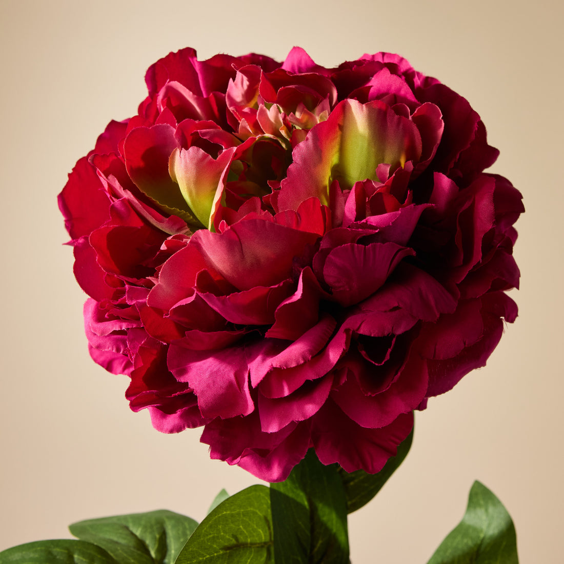 Faux Peony Stem | Burgundy - 73cm