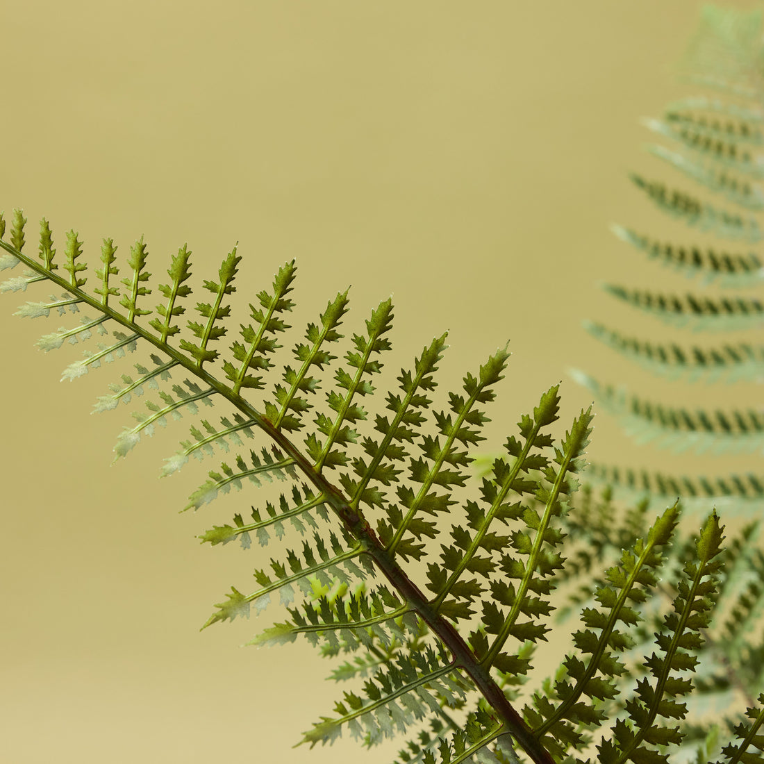 Faux Potted Fern | 102cm