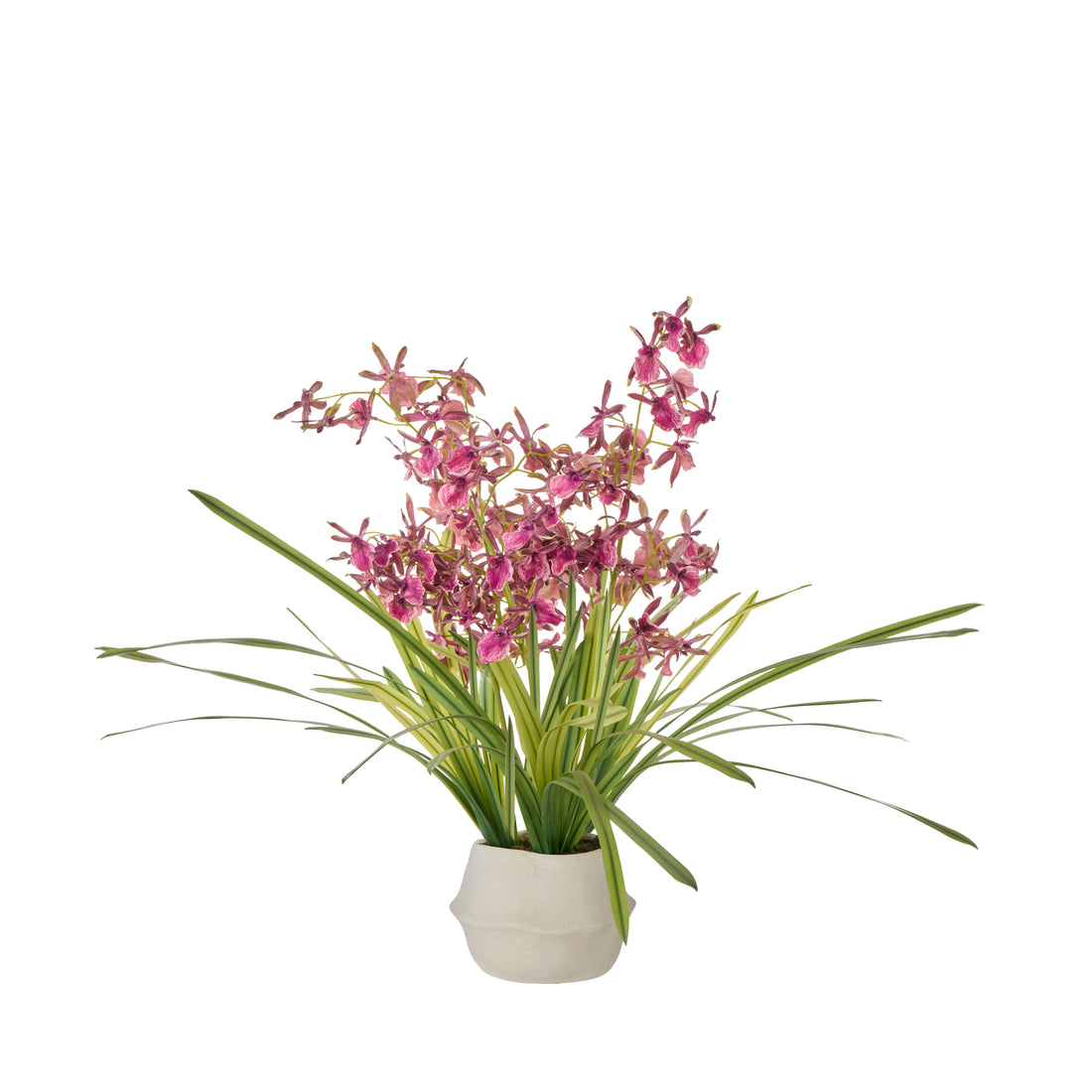 Faux Dendrobium Plant - Maliah Pot | Burgundy -  73cm