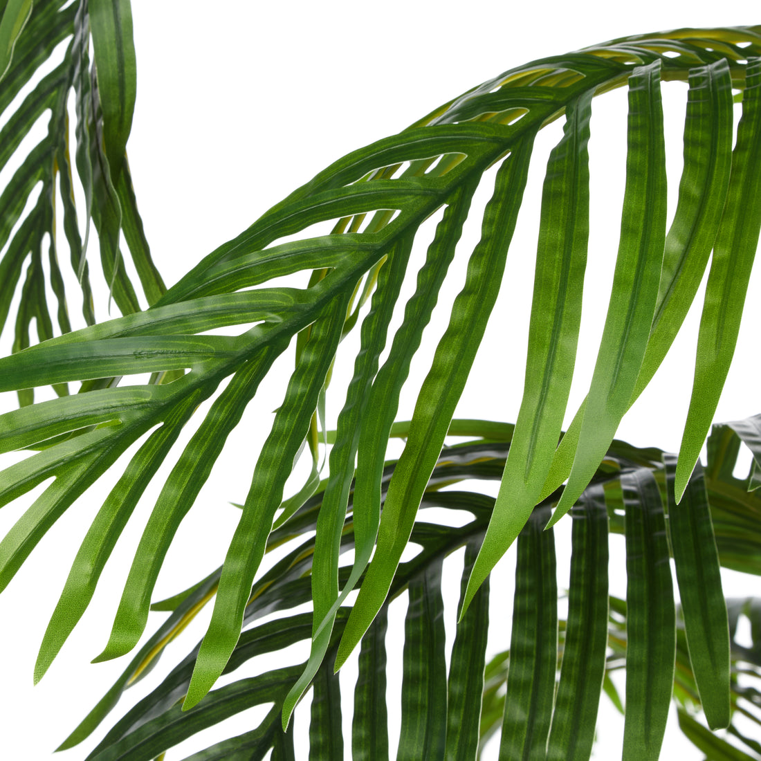 Rogue Areca Palm Tree - Vienna Planter Green