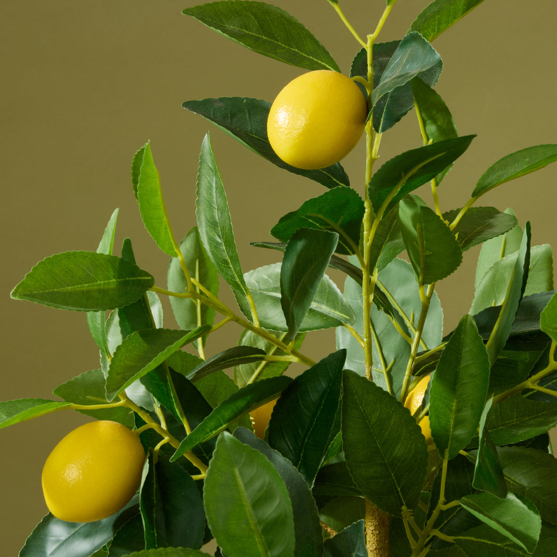 Faux Lemon Tree - White Pot | 76cm