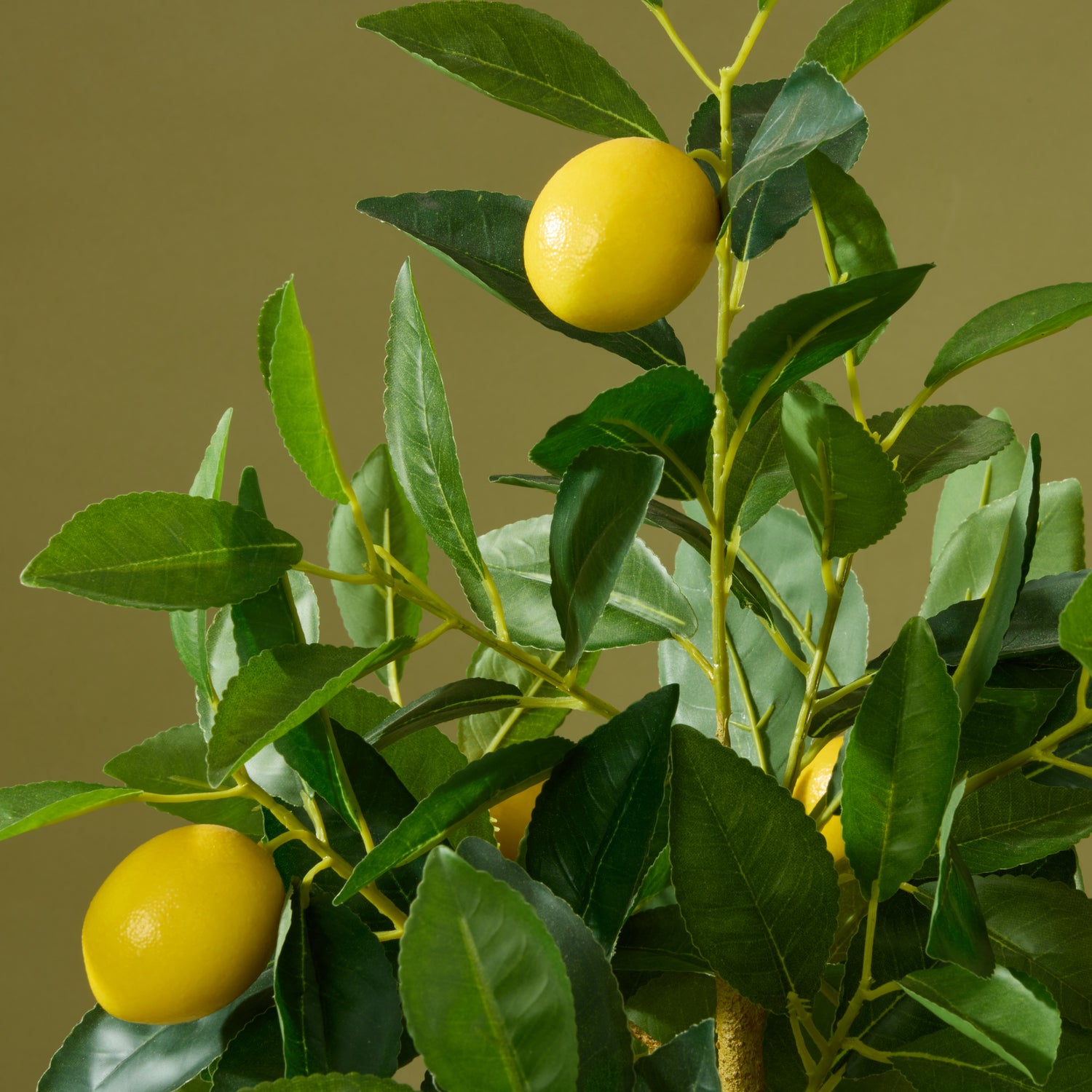 Faux Lemon Tree - White Pot | 76cm