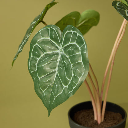 Faux Matuda Anthurium - Garden Pot | 39cm